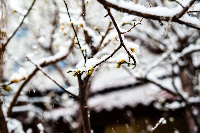 但是
