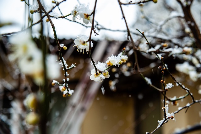 赛节奏
